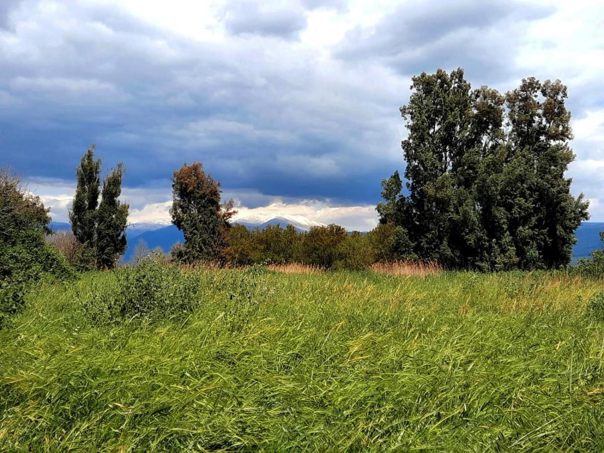 בית קסום בשדה נחמיה Villa Eksteriør billede